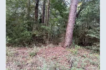 2103 Jenkins Road, Coldspring, TX 77331 - Photo 9