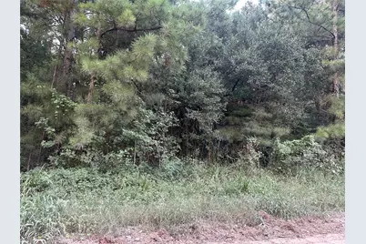 2103 Jenkins Road, Coldspring, TX 77331 - Photo 25