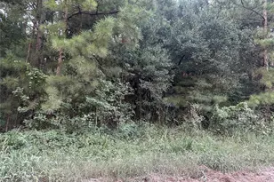 2103 Jenkins Rd, Coldspring, TX 77331 - Photo 25