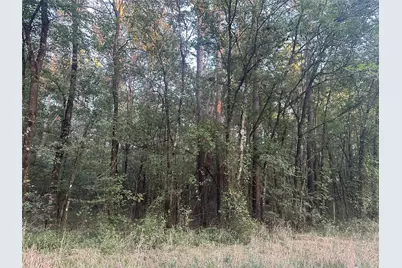 2103 Jenkins Road, Coldspring, TX 77331 - Photo 3