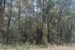 2103 Jenkins Rd, Coldspring, TX 77331 - Photo 3