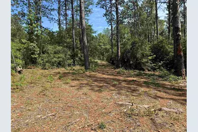 565 Sparkleberry Drive, Brookeland, TX 75931 - Photo 1