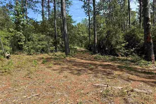565 Sparkleberry Dr, Brookeland, TX 75931 - Photo 1