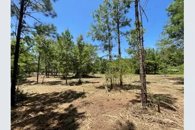 Lot 5 E Fm 942, Livingston, TX 77351 - Photo 19