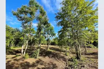 Lot 5 E Fm 942, Livingston, TX 77351 - Photo 5