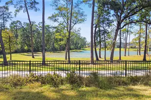 14 Arctic Tern Cir, Magnolia, TX 77354 - Photo 47