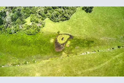 0000 Fm 1488, Hempstead, TX 77445 - Photo 11