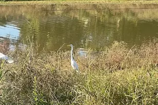 1517 Ramada Dr, Houston, TX 77062 - Photo 15