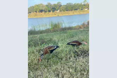 1517 Ramada Drive #1517, Houston, TX 77062 - Photo 13