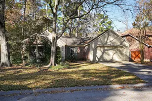 10 Greenbud Ct, The Woodlands, TX 77380 - Photo 29