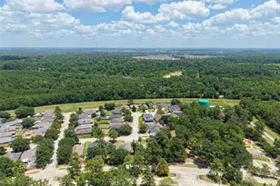 24019 Kingbriar Dr, Spring, TX 77373 - Photo 45