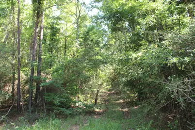 000 County Road 2240, Grapeland, TX 75844 - Photo 19