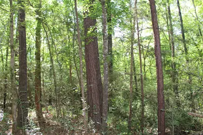 000 County Road 2240, Grapeland, TX 75844 - Photo 11
