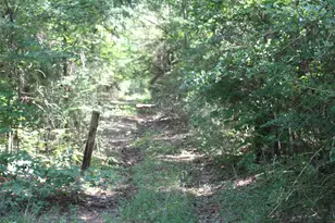 000 County Road 2240, Grapeland, TX 75844 - Photo 1