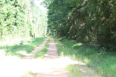 000 County Road 2240, Grapeland, TX 75844 - Photo 17