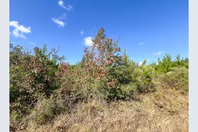 T-4 Fm 787, Votaw, TX 77376 - Photo 13