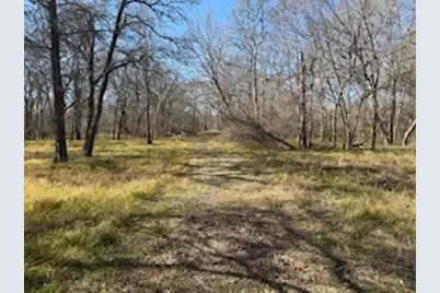 14860 Laguna Vista Drive, Needville, TX 77461 - Photo 3