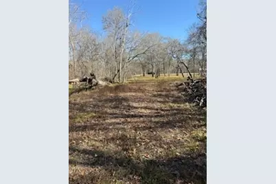 14860 Laguna Vista Drive, Needville, TX 77461 - Photo 5