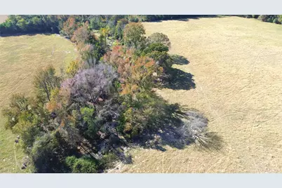 485 Private Road 6142, Grapeland, TX 75844 - Photo 13
