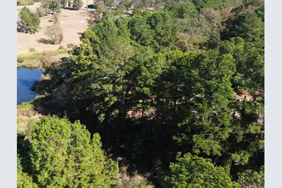 485 Private Road 6142, Grapeland, TX 75844 - Photo 9