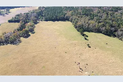 485 Private Road 6142, Grapeland, TX 75844 - Photo 15