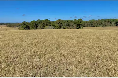 485 Private Road 6142, Grapeland, TX 75844 - Photo 31