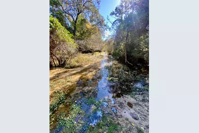 485 Private Road 6142, Grapeland, TX 75844 - Photo 1