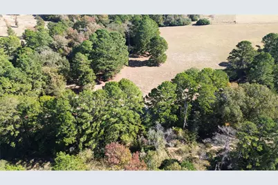485 Private Road 6142, Grapeland, TX 75844 - Photo 5