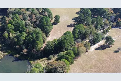 485 Private Road 6142, Grapeland, TX 75844 - Photo 7