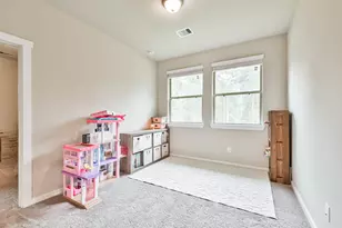 227 S Spotted Fern Dr, Montgomery, TX 77316 - Photo 21