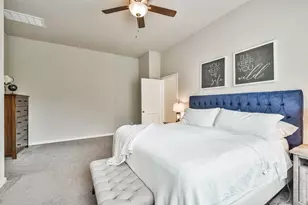 227 S Spotted Fern Dr, Montgomery, TX 77316 - Photo 29