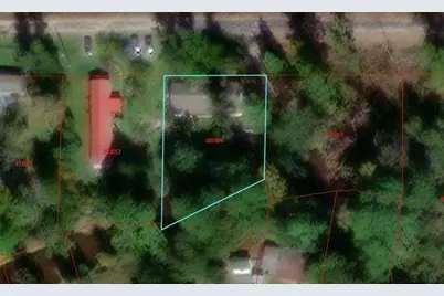 537 Tree Harbor Drive, Onalaska, TX 77360 - Photo 17