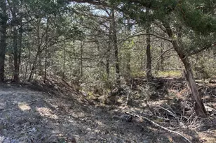 1873 Co Rd 136A, Hallettsville, TX 77964 - Photo 35