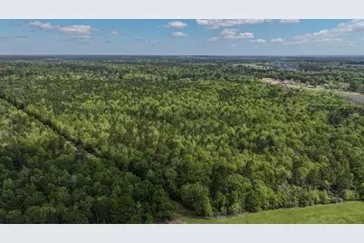 Tbd 00 Fm 2457, Livingston, TX 77351 - Photo 9