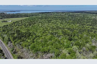 Tbd 00 Fm 2457, Livingston, TX 77351 - Photo 17