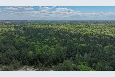Tbd 00 Fm 2457, Livingston, TX 77351 - Photo 13