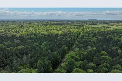 Tbd 00 Fm 2457, Livingston, TX 77351 - Photo 11