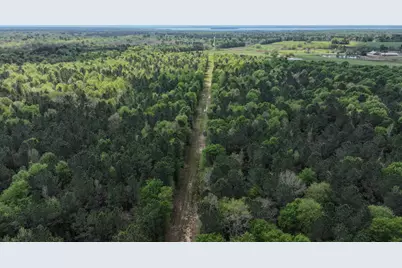 Tbd 00 Fm 2457, Livingston, TX 77351 - Photo 15