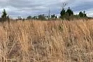 61 Rd 5118, Cleveland, TX 77327 - Photo 7