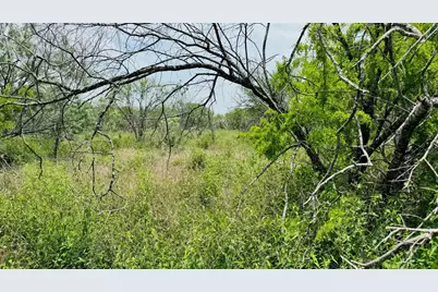 Tbd 23.52 Ac Fm 888, Beeville, TX 78102 - Photo 5