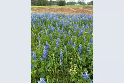 18964 Old Bundick Rd Road, Bryan, TX 77808 - Photo 25