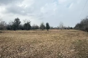 Lot 9 County Road 30, Angleton, TX 77515 - Photo 1
