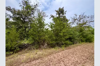 0 Cotton Tail Drive, Waller, TX 77484 - Photo 9