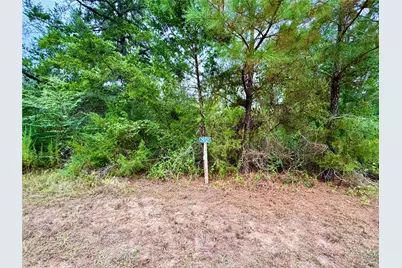 0 Cotton Tail Drive, Waller, TX 77484 - Photo 1