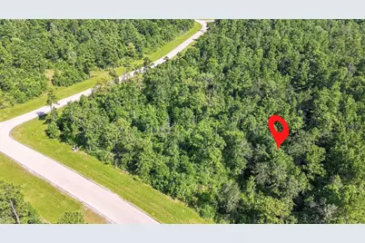 294 Iron Horse Road, Willis, TX 77378 - Photo 3