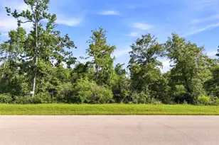 294 Iron Horse Rd, Willis, TX 77378 - Photo 1