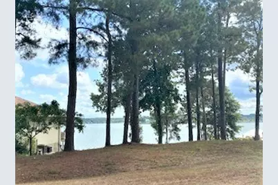 293 Twin Magnolia, Onalaska, TX 77360 - Photo 39