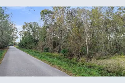 3415 Evergreen Drive, Kingwood, TX 77365 - Photo 3