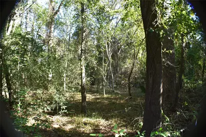 3415 Evergreen Drive, Kingwood, TX 77365 - Photo 19