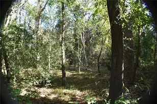 3415 Evergreen Dr, Kingwood, TX 77365 - Photo 19